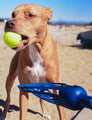 Faux Crosse™ Fetch | Dog Ball Launcher